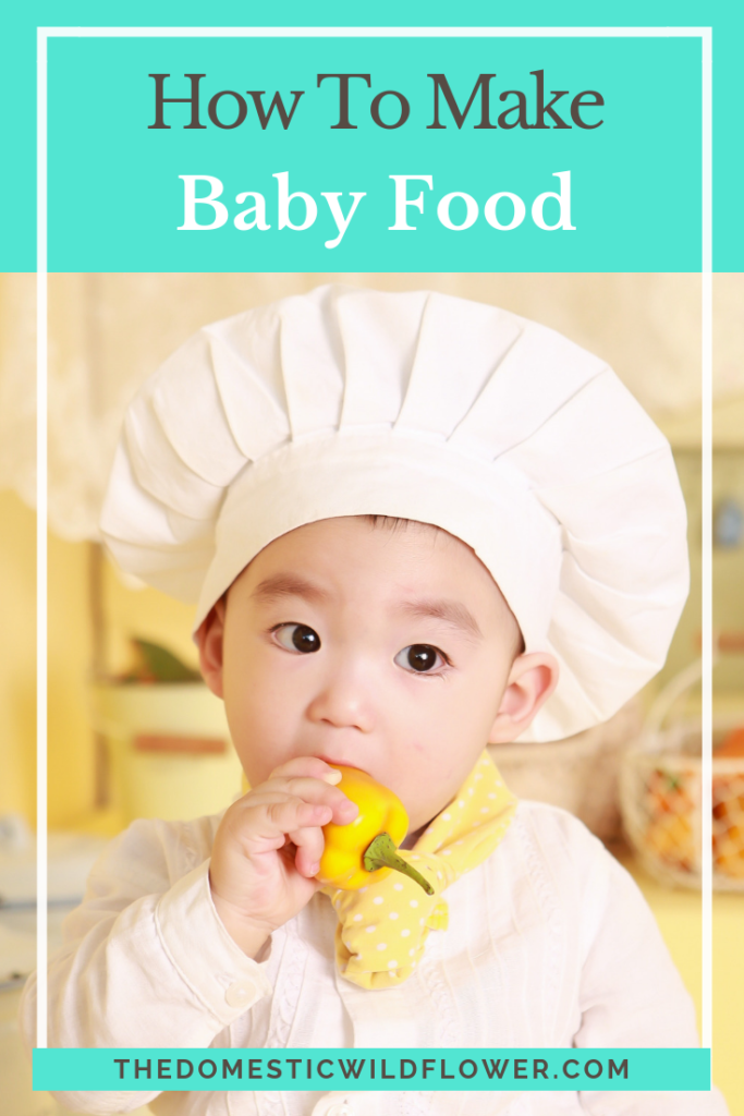 Making Baby Food: Why You Do Not Need Special Gadgets To Feed Your Baby