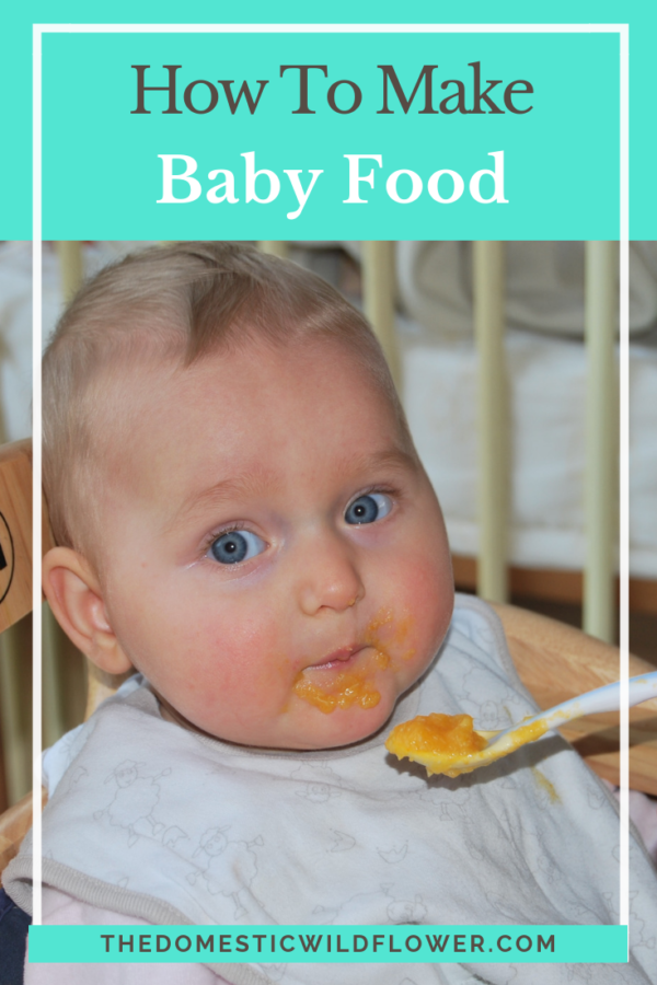 Making Baby Food Why You Do Not Need Special Gadgets To Feed Your Baby