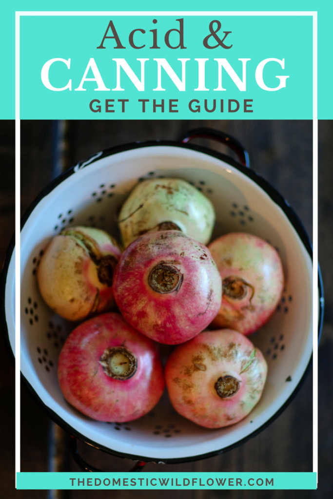 Acid & Canning Guide for Canners Get this great free acid and canning guide that lists the acid values of all the foods you might want to can! Such a genius post! 