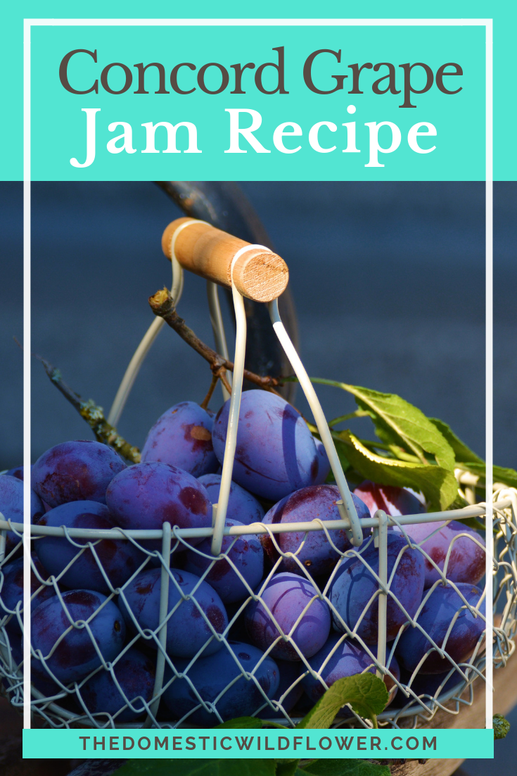 Canning Concord Grape Jam