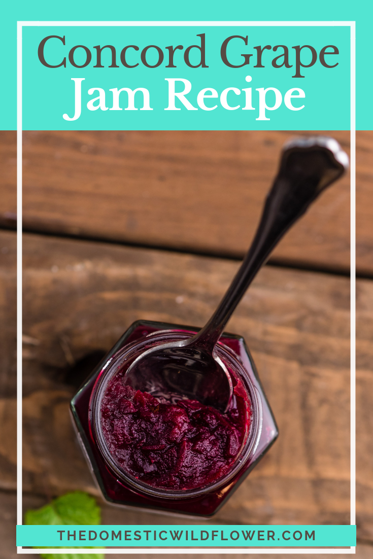 Canning Concord Grape Jam