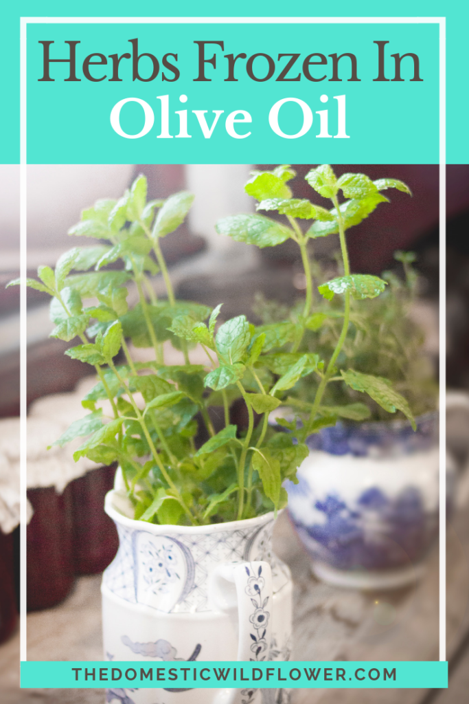 Herbs Frozen in Olive Oil: A Fast and Easy Method of Preservation