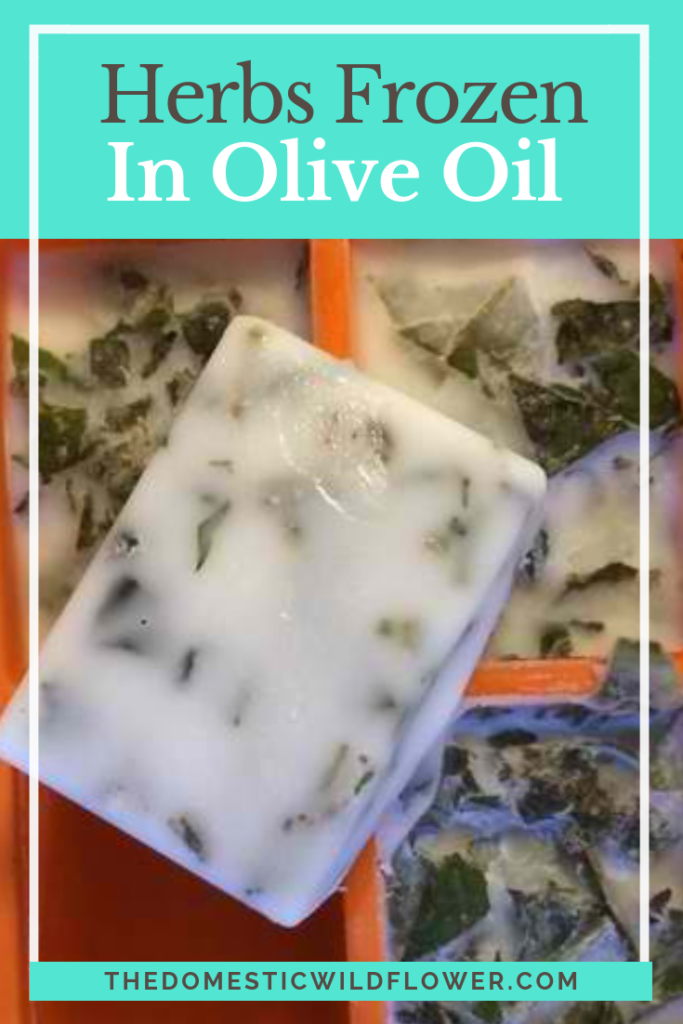 Herbs Frozen in Olive Oil: A Fast and Easy Method of Preservation