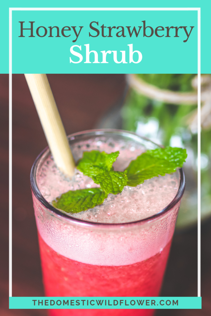 Honey Strawberry Shrub: A Perfect Pair with Sparkling Water