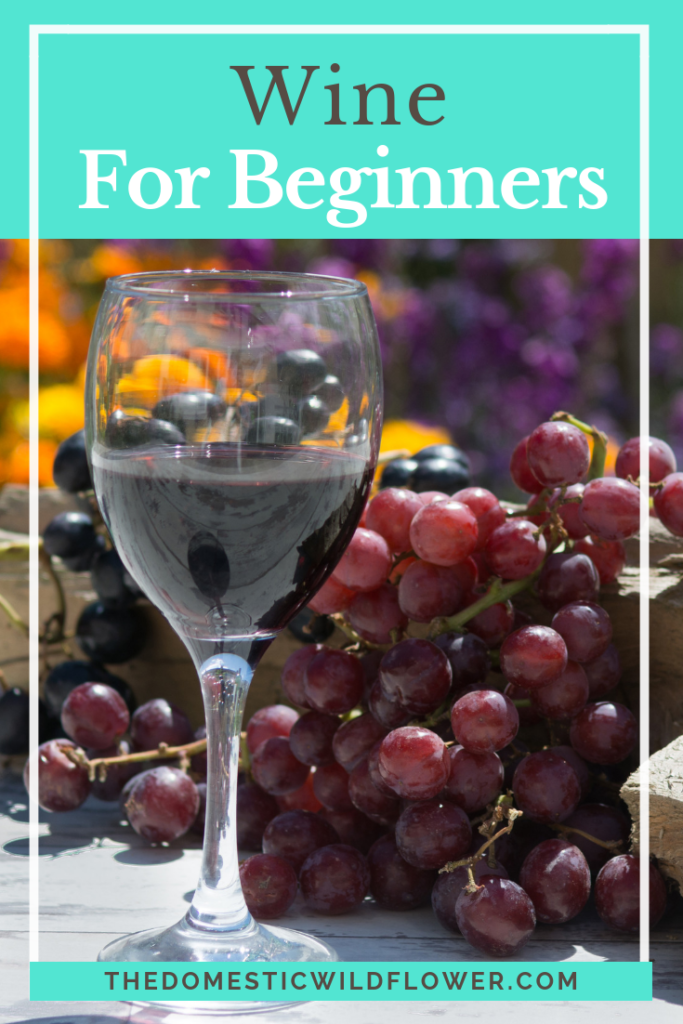 Wine for Beginners