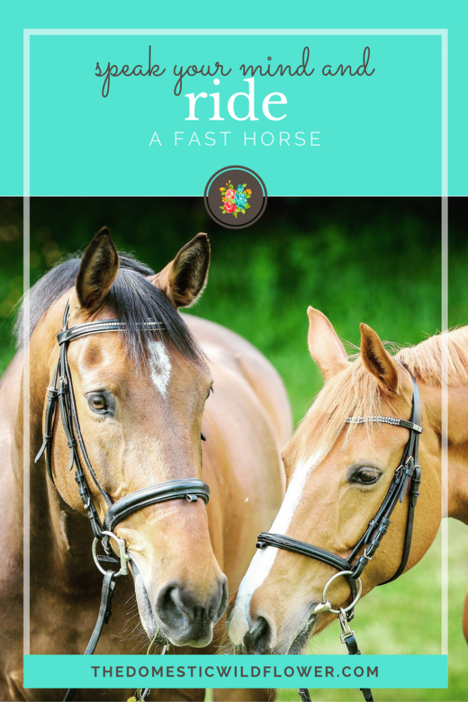 Speak your mind and ride a fast horse * 19 Inspirational Quotes for Country Girls | The Domestic Wildflower click through to read this awesome post! These encouraging and inspirational quotes explain what it means to have the heart of a country girl.