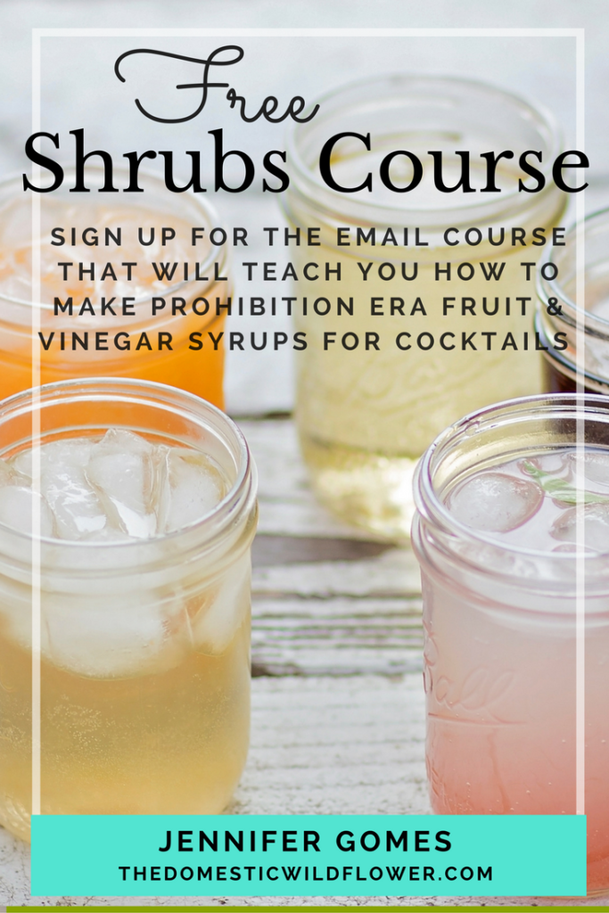 Sign up for the free email course that will teach you how to make a no cook syrup from fresh fruit, sugar, and vinegar. These drinking vinegars are fresh, unique and delicious mixed with sparkling water. The optional shot is divine on a hot day & and they are the most gorgeous, bright colors! Sign up for the free course today!