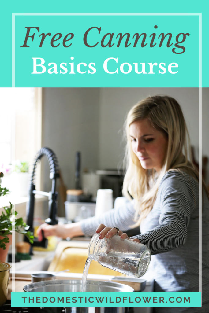 Free Canning Basics Course