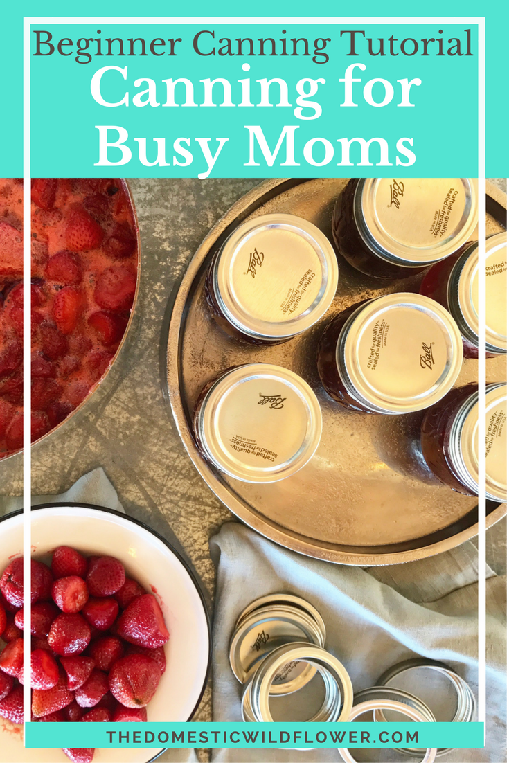 Beginner Canning Tutorial for Busy Moms