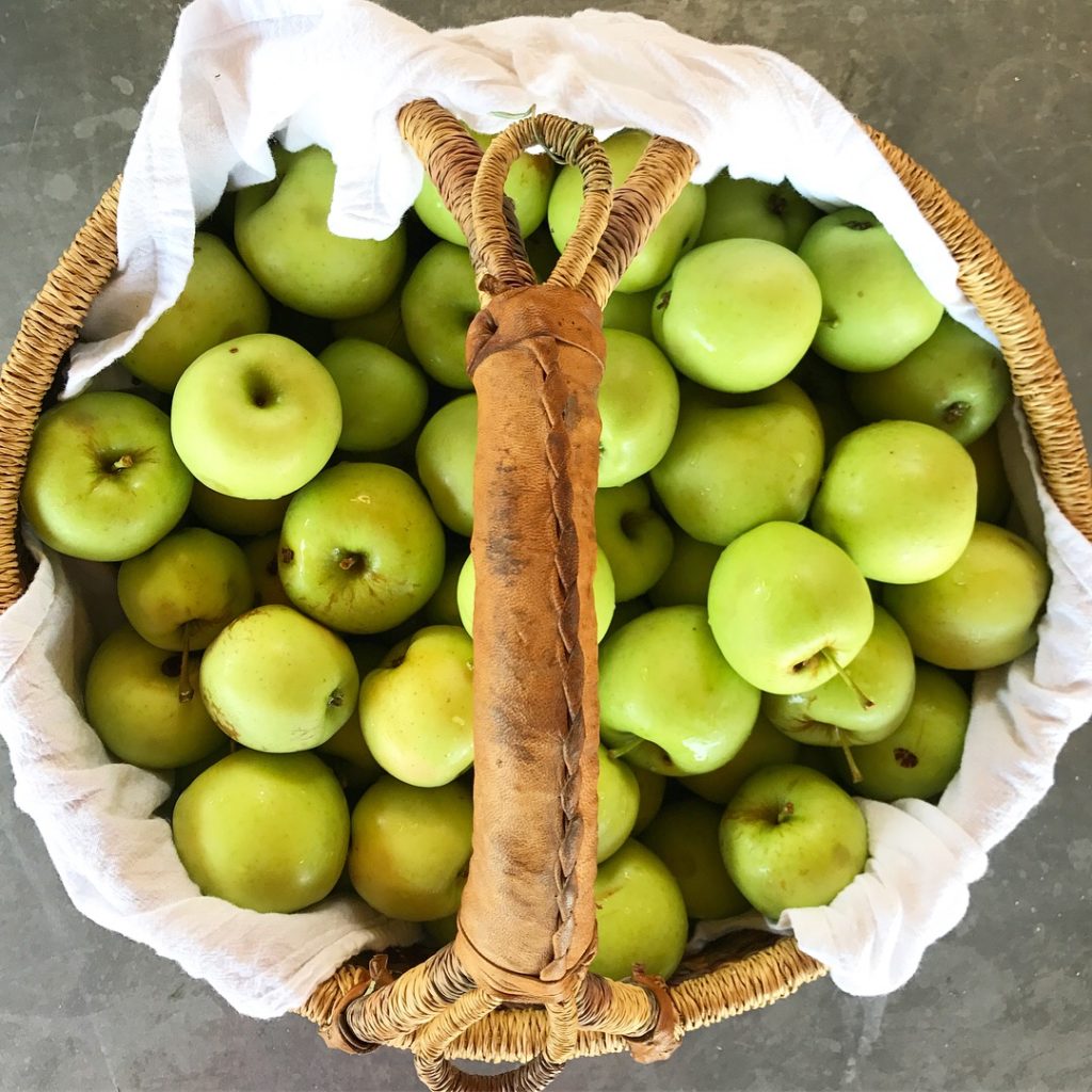 Apples for applesauce and apple butter- kid pleasers and easy to can!