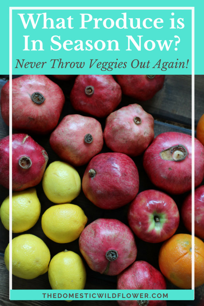 What Produce is in Season Now? This post will tell you so you never have to throw wasted produce out again! 
