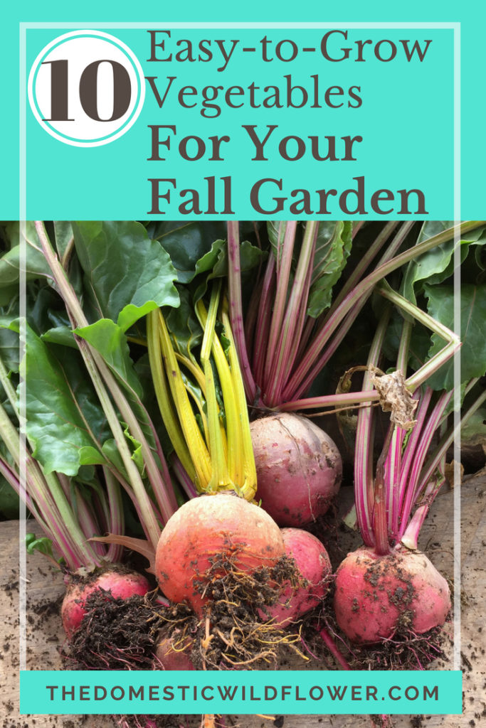 10 Easy to Grow Vegetables for Your Fall Garden This post has tons of great tips for a successful and easy fall gardening experience!