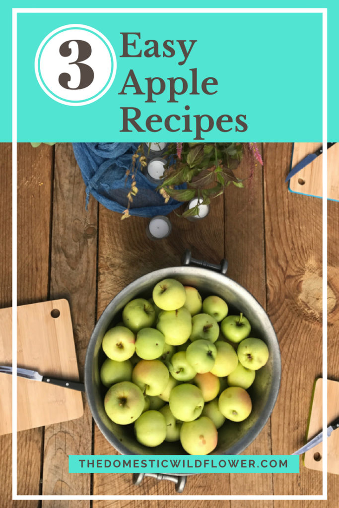 3 Easy Apple Recipes that anyone can make!