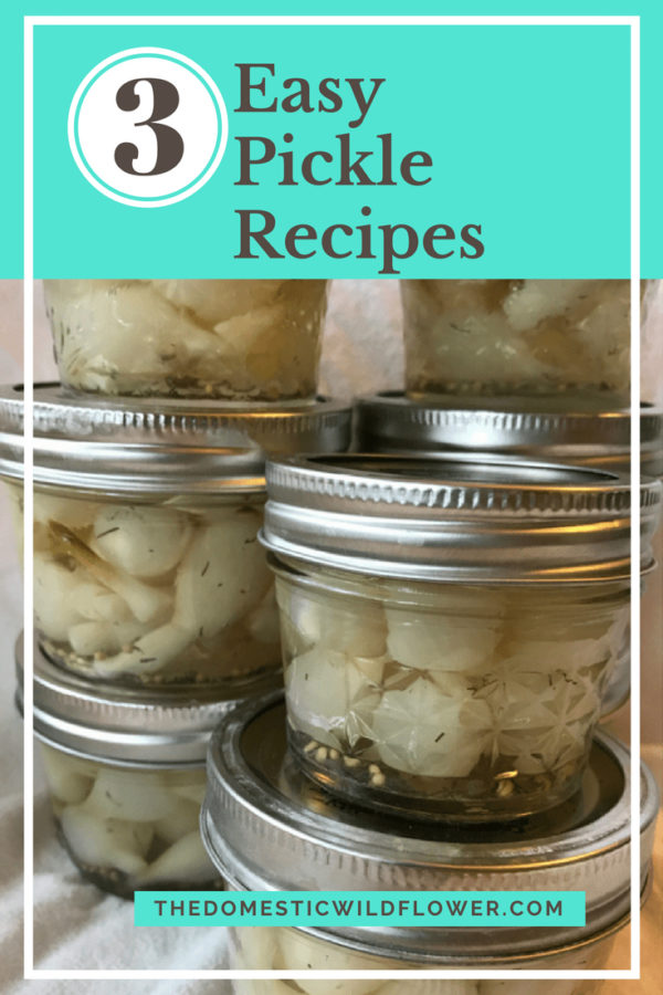 3 Easy Pickle Canning Recipes for Beginners