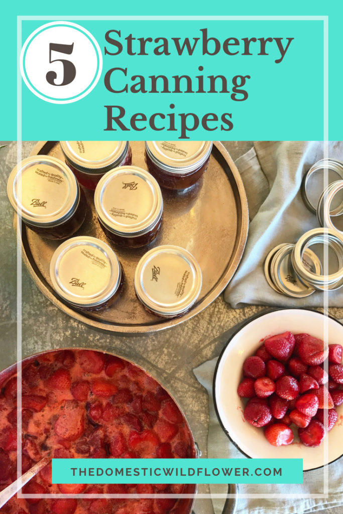 5 Strawberry Canning Recipes for Beginners