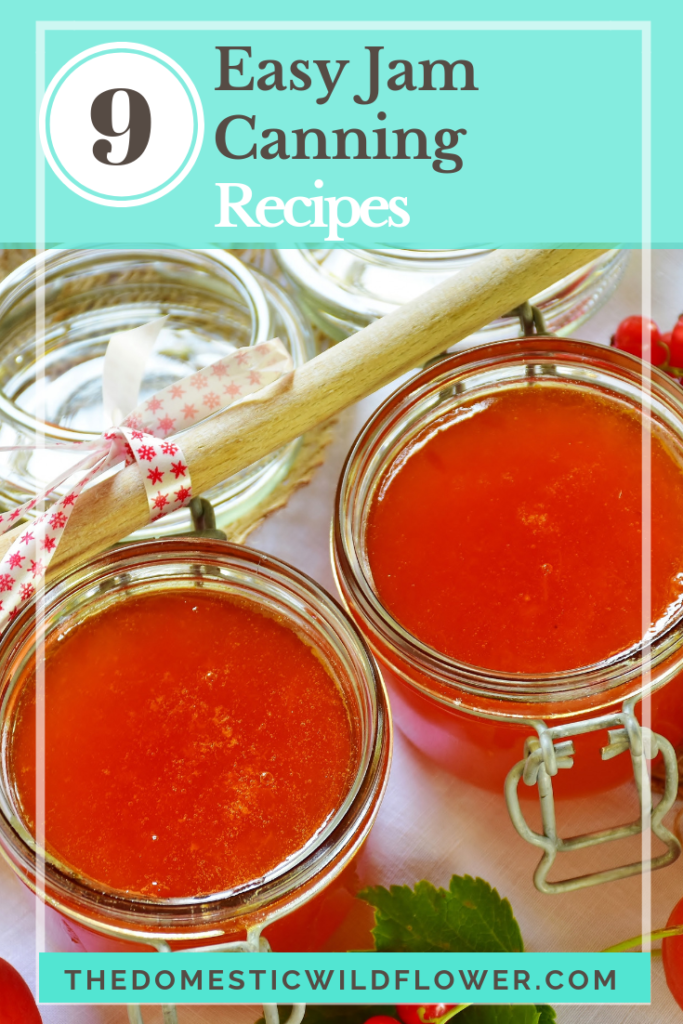 9 Jam Canning Recipes for Beginners
