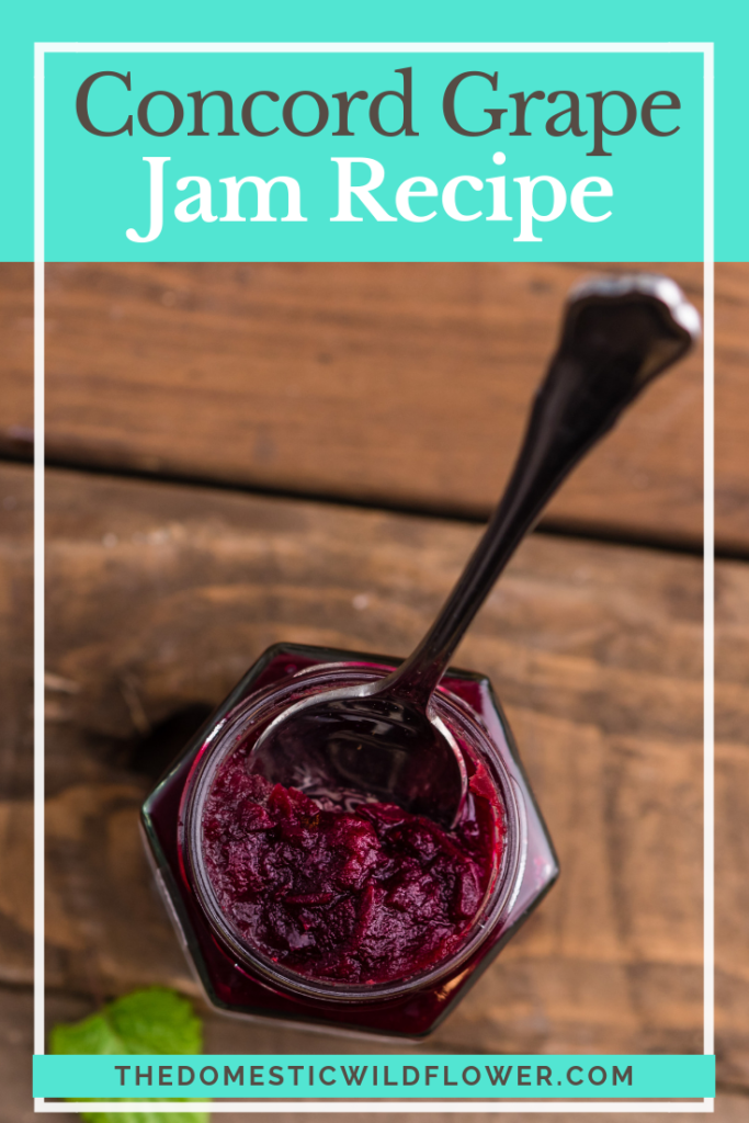 9 Jam Canning Recipes for Beginners