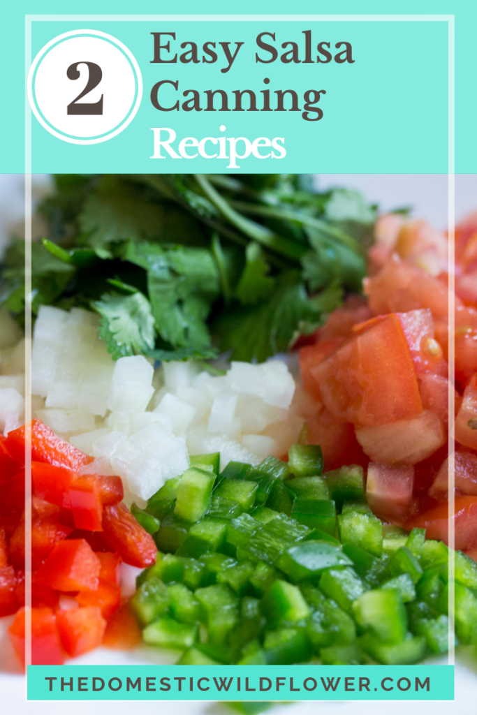 2 Easy Salsa Canning Recipes for Beginners