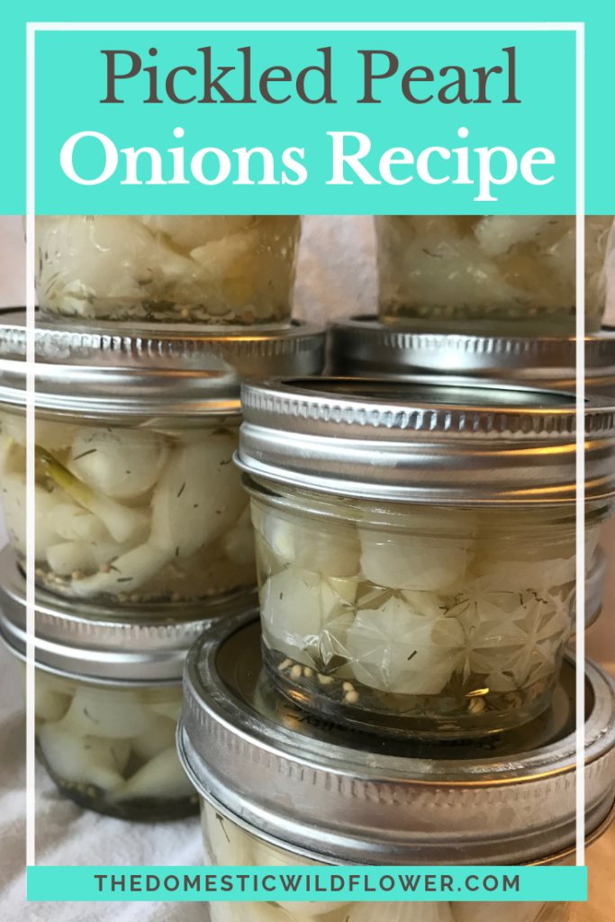 3 Easy Pickle Canning Recipes for Beginners