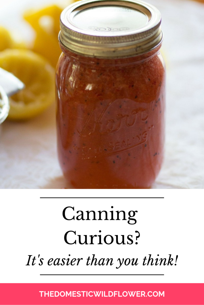 Canning Curious? It is easier than you think! 