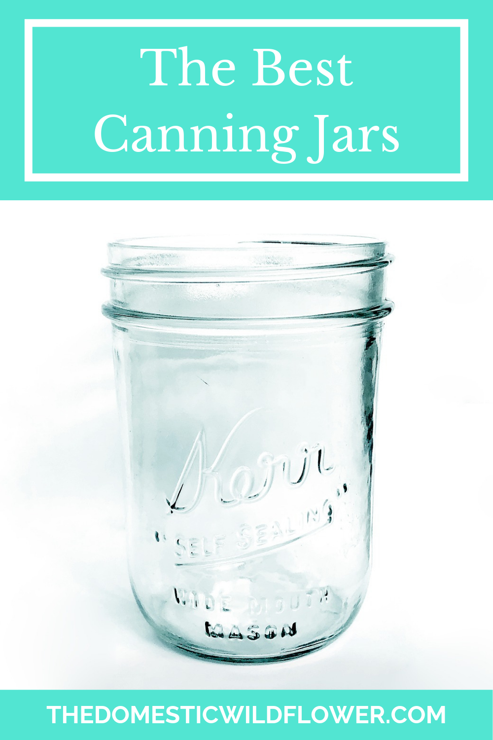 https://thedomesticwildflower.com/wp-content/uploads/2019/06/Domestic-Wildflower-best-canning-jars-1.png