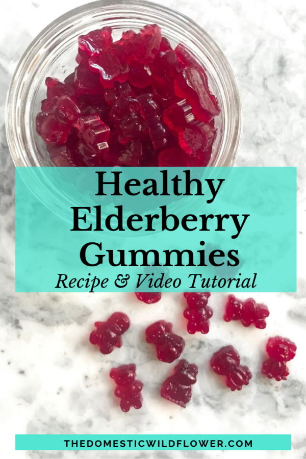 Elderberry Gummies Recipe
