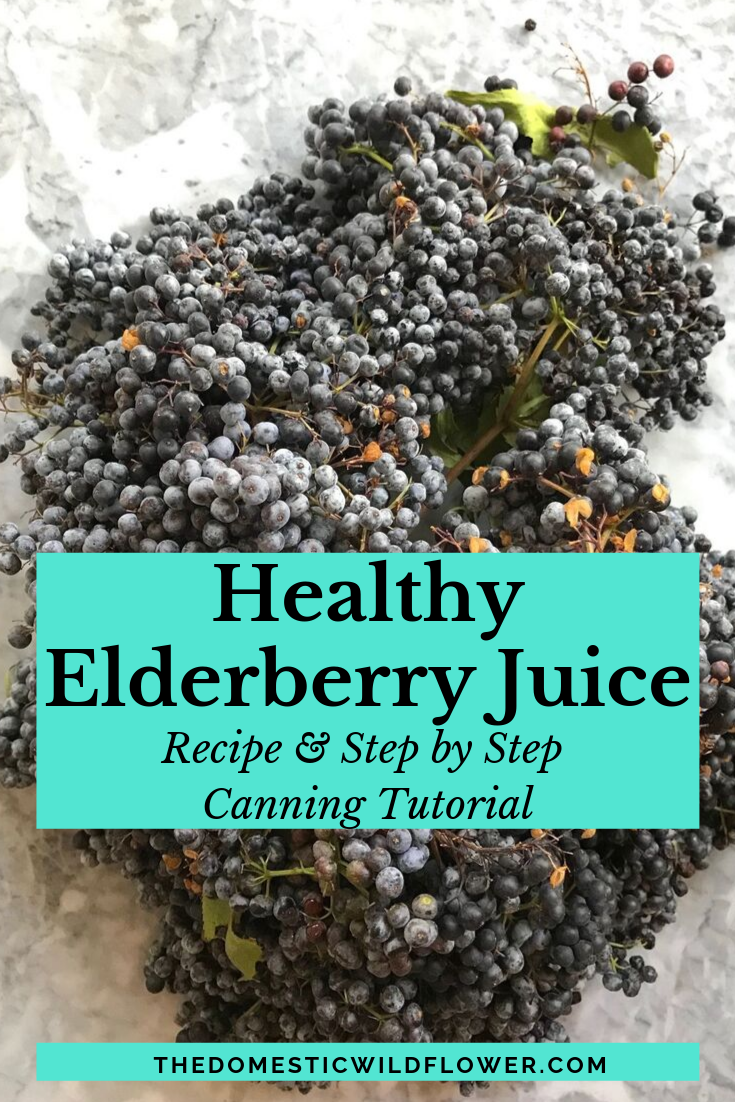 How to Use a Steam Juicer  Make Your Own Elderberry Juice with Fresh Fruit  • Chocolate Box Cottage