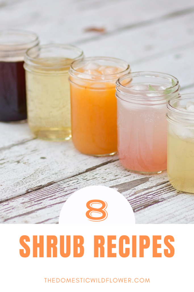 8 Shrub Recipes