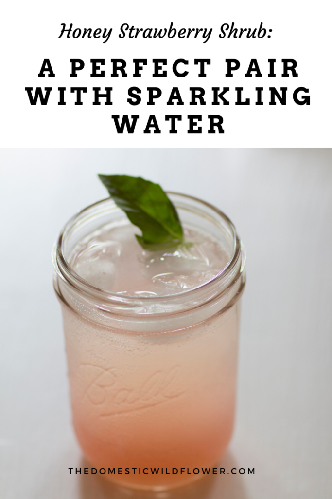 Honey Strawberry Shrub: A Perfect Pair with Sparkling Water