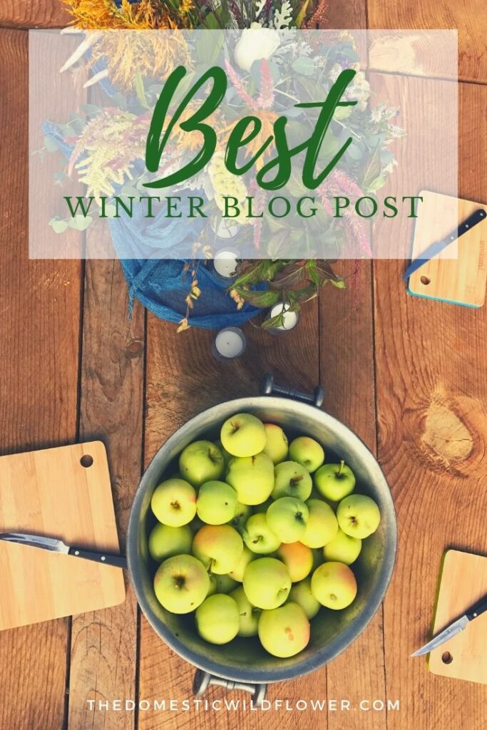 Best Winter Blog Posts